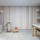 부평해인점 | 반려동물 맞춤 커튼 &amp; 고양이 출입문, 집사들의 선택! 주노홈테크 설치후기