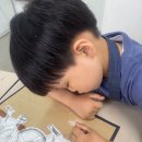 소묘 및 수채화(심화) 이미지