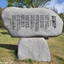 회원동262 이미지