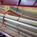 칠산초등학교 이미지