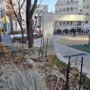 양재어린이공원 이미지