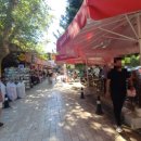 동명빌라 정류장(우) | 튀르키예 안탈리아 시내도 도보로 OK! 옥상 전경이 멋진 빌라 툴리판 villa tulipan 숙소에 1박 해보기