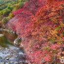 지리산급 단풍 절경에 언덕 없이 쉽게 걸어요&#34;60대도 무리 없는 가을 단풍 트레킹 명소 이미지