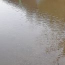 소구월사거리 이미지