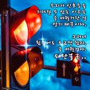 인생의 신호등 - 김영국 - 이미지