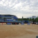 충주중앙초등학교 네이버블로그