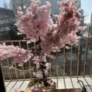 신촌샤브샤브 | 신촌 온방샤브칼국수 - 신촌 맛집 샤브샤브 맑은육수 후기