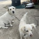 덕촌농장 이미지