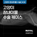 로얄동물외과수술센터 이미지
