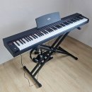 디지털사자 | 릴리온 88건반 디지털피아노 내돈내산 후기 | 입문용으로 괜찮을까?