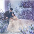 스튜디오21 이미지