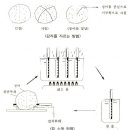 Re:★감자이야기-2 이미지