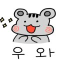 석촌드림약국
