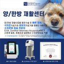 본동물메디컬센터 24시수성점 네이버블로그