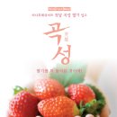 곡성-195 이미지