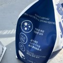 [후기] 먼지날림 고통없는 고양이모래 추천! 최강모래 유향