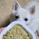 소.화식당 | 듀먼화식 돼지고기&amp;채소 오리지널 강아지습식사료 노령견사료 급여 후기