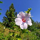 동산농원 이미지