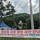남면사무소 | 정선 민둥산 산행 후기,등산코스·소요시간·난이도·억새와 돌리네 풍경