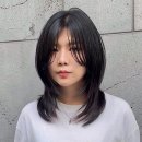 애채 합정