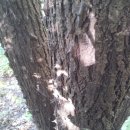 큰골짜기농장 이미지