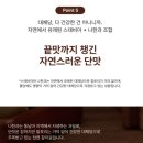 인커뮤니케이션즈 | 단백질쉐이크 추천! 고단백저탄수 윔쉐이크 초코맛 솔직 후기