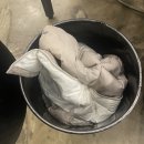 장터참숯무한리필(아산점) | 고기만 여섯종류인 장터참숯무한리필 발산점 솔직후기