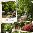 울산 수목원 아이랑 가기 좋은 곳 자연 속 힐링 산책코스