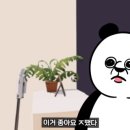 이름없는달밤 이미지