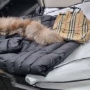 운중로113번길 이미지