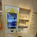 서울대왕초등학교 | 강남 키즈카페 세곡 어린이 실내 놀이터 천원의 행복