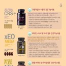 엘2알 이미지