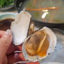 조개짱 | 아산 조개구이 짱조개나라 조개찜中 먹은후기