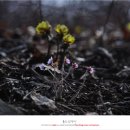 풍도복지회관 이미지