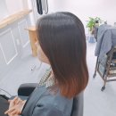 스텔라헤어 이미지