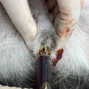 백암동물병원 이미지