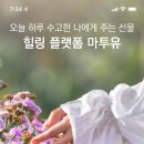 태국전통마사지발관리 이미지