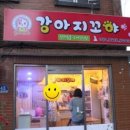 강아지 꼬야 이미지