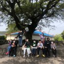 안덕면 문화마을 내 이미지