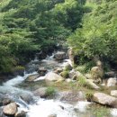 팔랑농산민박 이미지