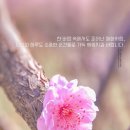 법기로 이미지