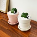 호야문구 이미지