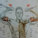 B&R휘트니스 이미지