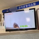 삶이 이보다 어떻게 더 완벽해