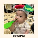 여름소풍 | 갤러리아 문화센터 소풍가는 하마 여름학기 수강 후기