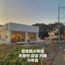 포항 월포해수욕장 감성 카페 식목일 콩고물 크림 라떼 있는 조용한 청하카페