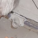 GS25 태전중석점 이미지