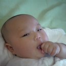 산내이발관 Daum카페
