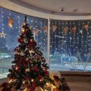 낙지발이 몇개고 이미지