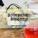 [시민제안강의] 요가명상치유 하타요가의 호흡 | 울산 원데이클래스 이색 실내데이트 퓨어요가명상 웰니스 프로그램